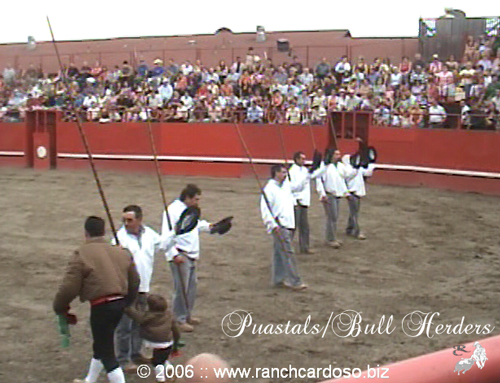 Puasta/bull herders