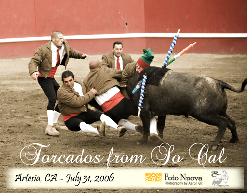 Forcados do Sul de California attempting to grab the bull