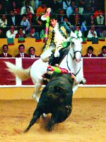 Luis Rouxinol