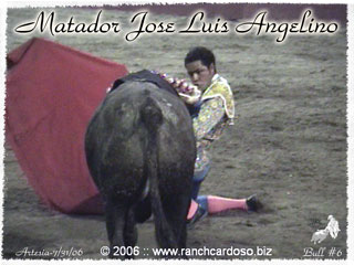 Matador making a daring pass with his red cape