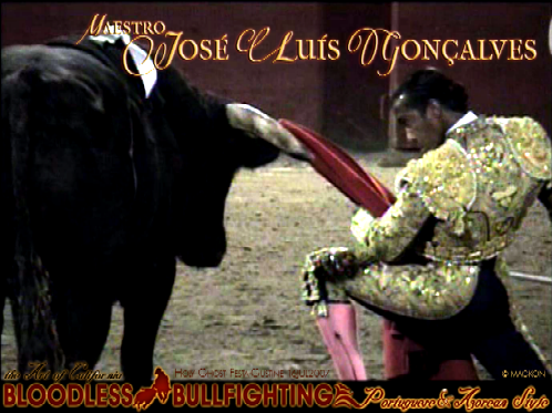 Jose Luis Goncalves