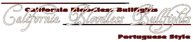 California Bloodless Bullfights ~ Portuguese Style