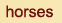 Lusitanos  ::  Andalusians  ::  Arabians  ::  American Quarter Horse